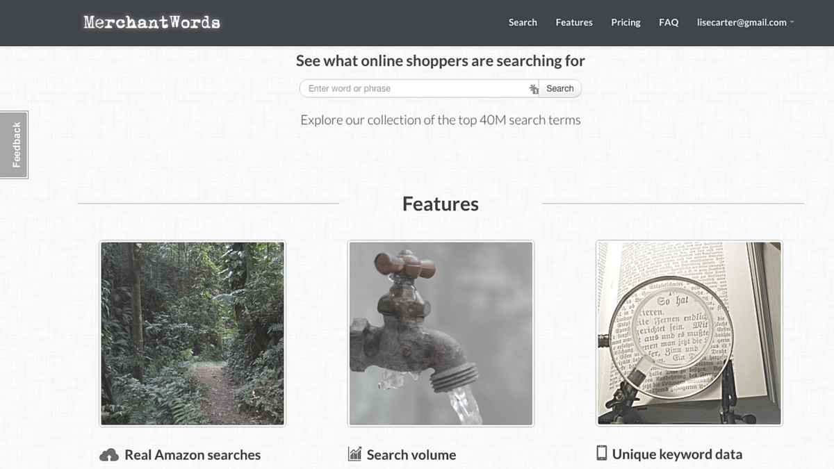 Using Merchant Words to find Keywords for Your Book